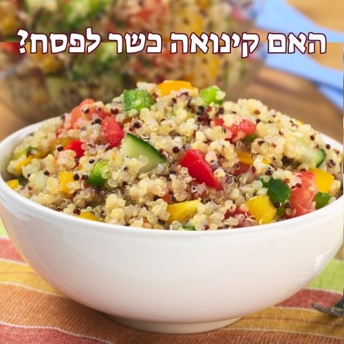 האם קינואה כשר לפסח